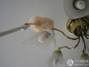 專題 美好生活,花王相伴 花王旗下日用百貨明星產品大盤點